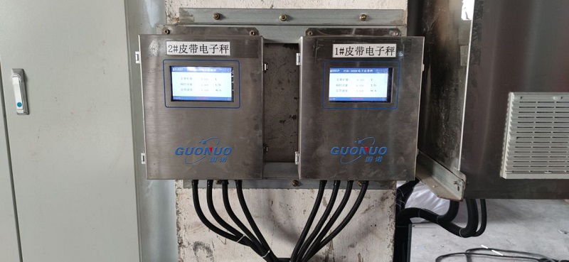 安琪酵母 M1皮帶秤2.jpg